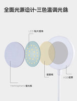 韓國🇰🇷熱賣 LED護眼檯燈 三色可調光源 USB充電 白色多用途床頭燈 枱燈(連充電線）