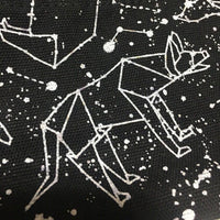 Handmade Canvas Constellation Bag